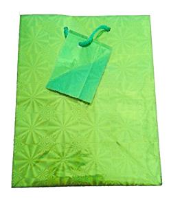 Dárková taška papírová 21x18x7,5 cm - zelená